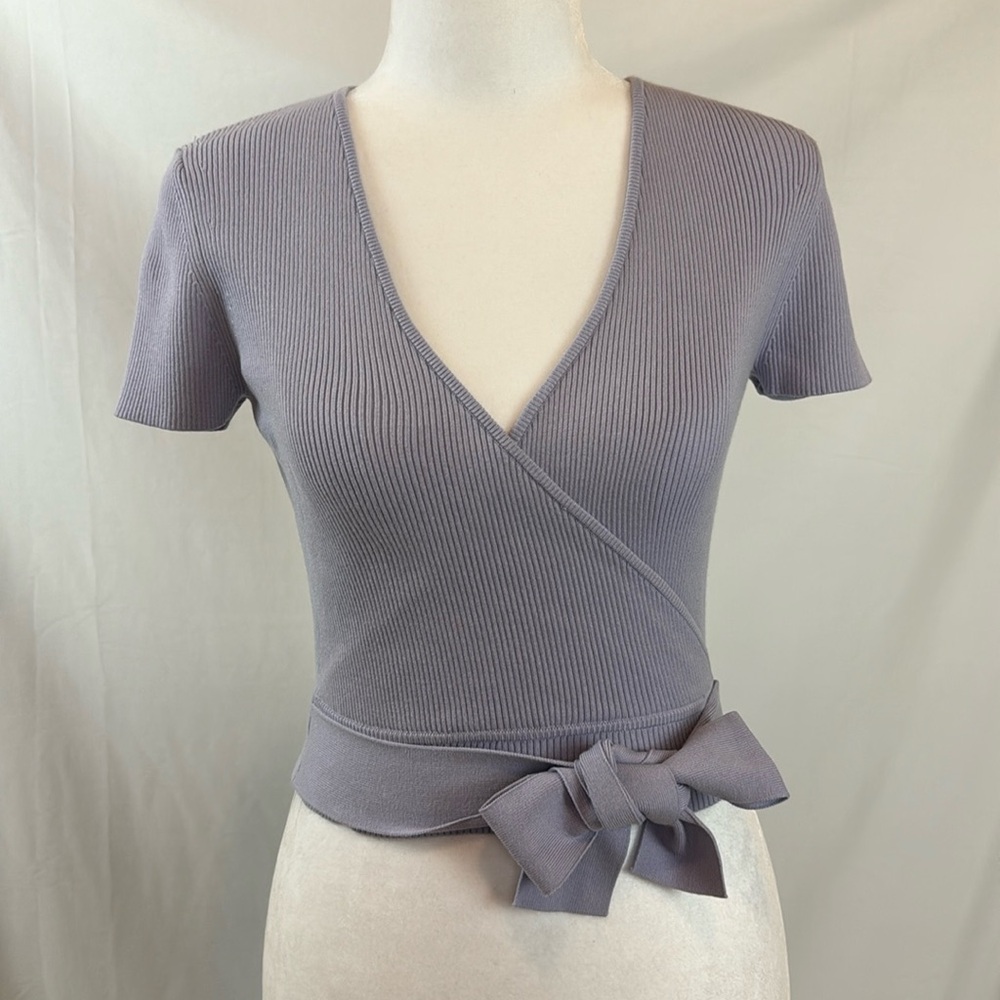 Wilfred from Aritzia lavender top.